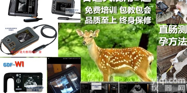 B超快<em>速测</em>孕仪<em>野生动物</em>B超报价