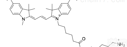 Sulfo-Cy3 NH2  SF Cy3-NH2|Sulfo Cy3 amine<em>水溶性</em>氨基<em>染料</em>
