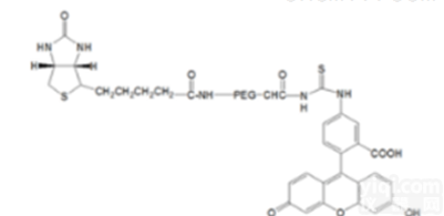 <em>荧光</em><em>PEG</em><em>衍生物</em>  FITC-<em>PEG</em>-Biotin<em>荧光</em>素聚乙二醇生物素