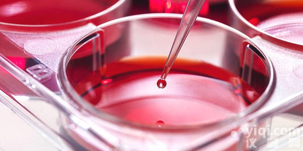 OAW28人卵巢<em>上皮</em>性<em>肿瘤</em><em>细胞</em>