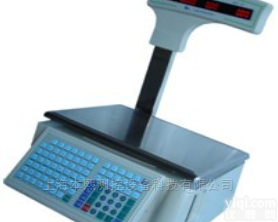 TM-H卖场<em>商场超市</em><em>大华</em>条码秤