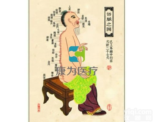 TCM3282  中医针灸<em>挂图</em>：督脉之图|中医<em>教学仪器</em>