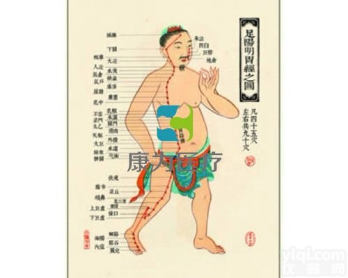 TCM3257  中医针灸<em>挂图</em>：足厥阴肝经图|中医<em>教学仪器</em>