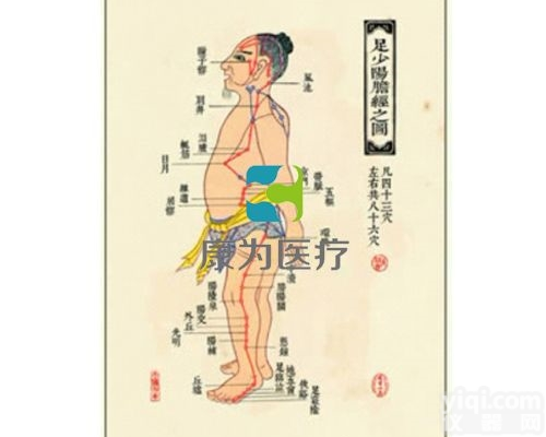 TCM3256  中医针灸<em>挂图</em>：足少阳胆经图|中医<em>教学仪器</em>