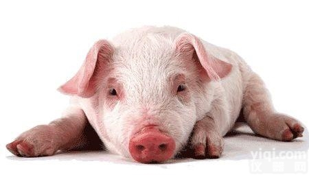 <em>非洲</em><em>猪瘟</em>检测  <em>非洲</em><em>猪瘟</em>免疫试剂盒（<em>猪瘟</em>检测试剂）