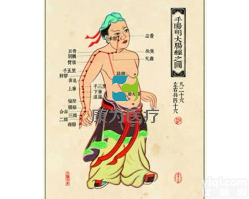 TCM3243  <em>中医针灸</em><em>挂图</em>：手<em>阳明</em>大肠经图