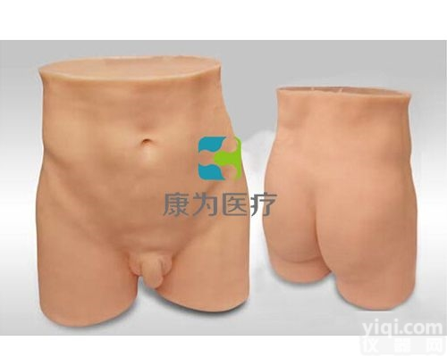 TCM3196  针灸臀部训练模型|<em>中医教学仪器</em>