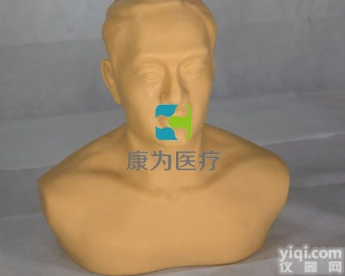 TCM3197  针灸头部训练模型|<em>中医教学仪器</em>