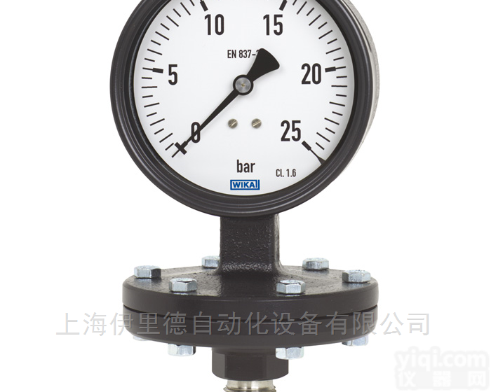 422.12/423.12  灰铸铁外壳<em>威卡</em>wika<em>膜片</em>式<em>压力表</em>