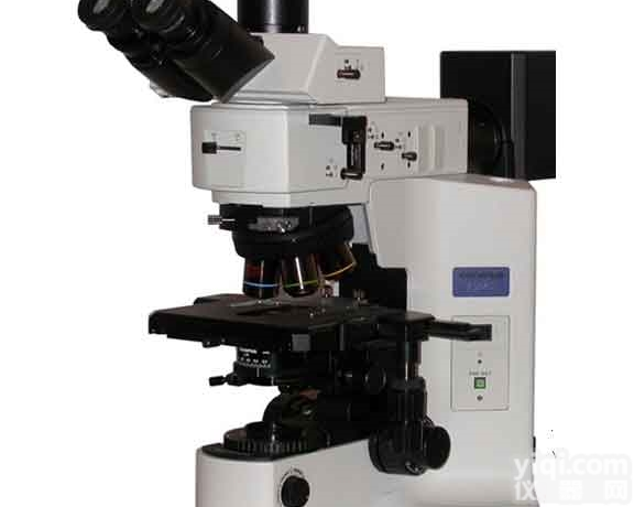 奥林巴斯<em>显微镜</em>BX41的<em>使用方法</em>