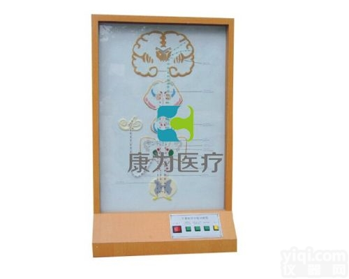 EMD5116  <em>平衡觉</em>传导<em>电动</em>模型|感觉器系列