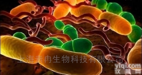 MEC-1人粘液<em>表皮</em>样<em>癌细胞</em>|MEC-1 含STR<em>鉴定</em>