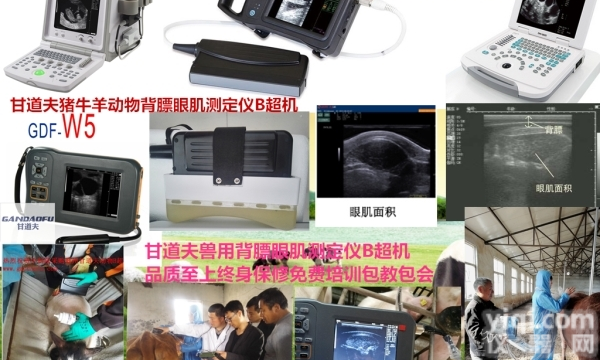 背膘眼肌测定仪<em>操作</em>使用方法<em>操作</em><em>步骤</em>