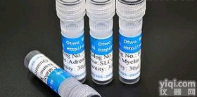 粪便<em>隐血</em>检测试剂盒<em>现货供应</em>