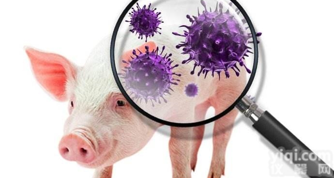 供应<em>非洲</em><em>猪瘟</em><em>检测卡</em>/核酸试剂盒/PCR检测仪