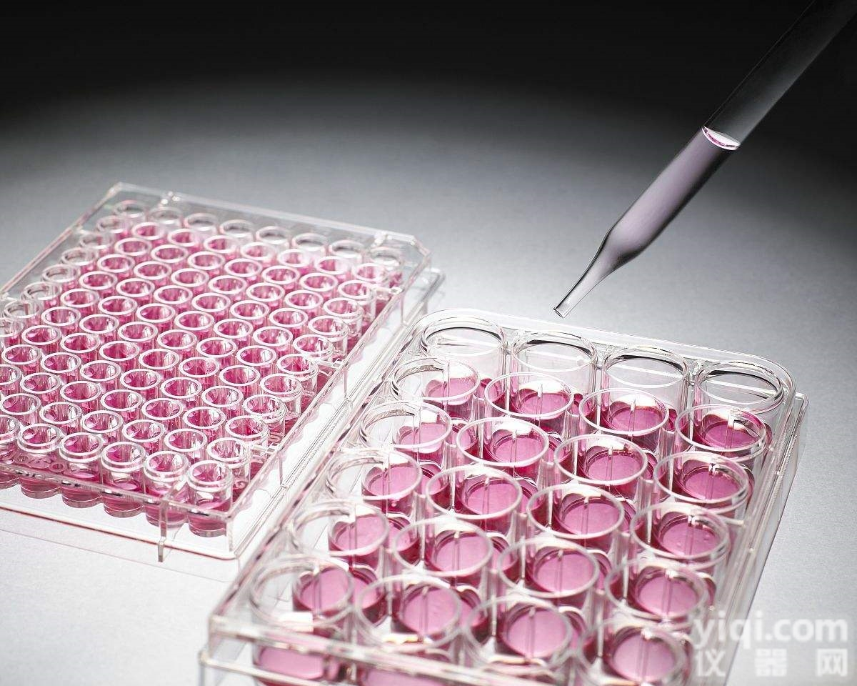 <em>Immuno</em>-Oncology靶向药物评价