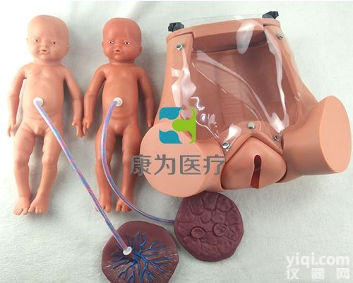 OG6105  高级<em>分娩</em>机转示教<em>模型</em>|<em>妇婴</em>专科技能训练