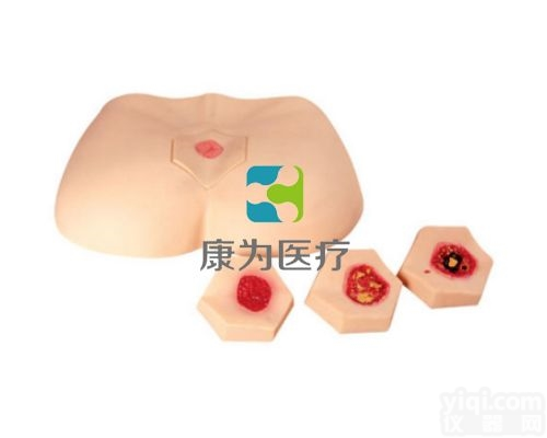 NM2176  褥疮<em>护理</em><em>仿真</em><em>模型</em>|全功能<em>护理</em>人<em>模型</em>