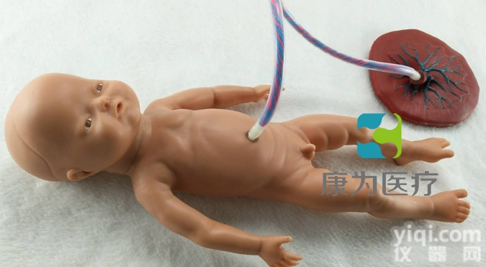PD5261  <em>高级新生儿脐带护理模型</em>