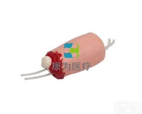 NM2183  下肢外伤<em>断肢</em><em>止血</em><em>模型</em>|全功能护理人<em>模型</em>