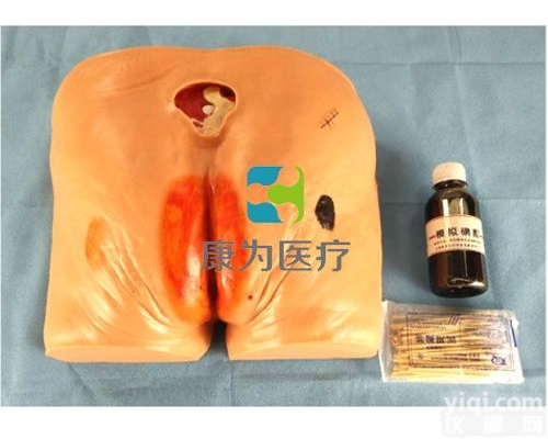 NM2175  高级<em>褥疮</em><em>护理模型</em>|全功能护理人模型