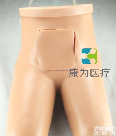 NM2221  高级<em>灌肠</em>和辅助<em>排便</em>训练<em>模型</em>