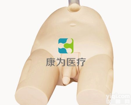 NM2172  高级<em>男性</em><em>膀胱</em>穿刺<em>模型</em>|全功能护理人<em>模型</em>