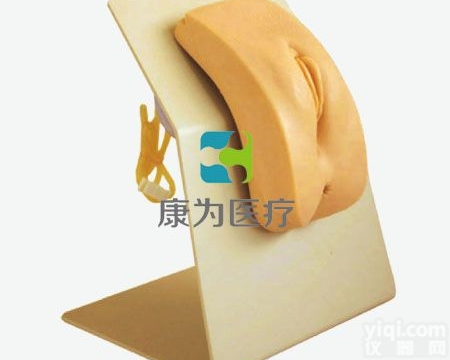 NM2165  高级着装式女性<em>导尿</em><em>模型</em>|全功能<em>护理</em>人<em>模型</em>