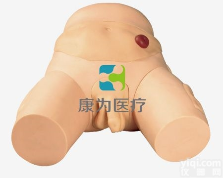 NM2163  电子<em>导尿</em>及<em>灌肠</em>教学实习模型