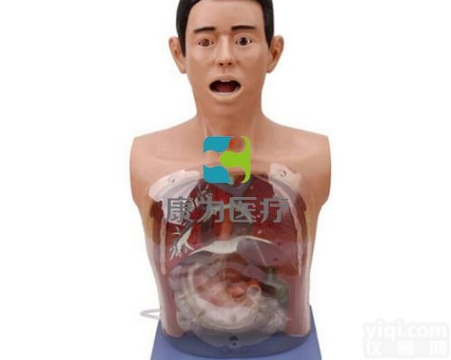 NM2153  <em>高级透明洗胃模型</em>|全功能护理人模型