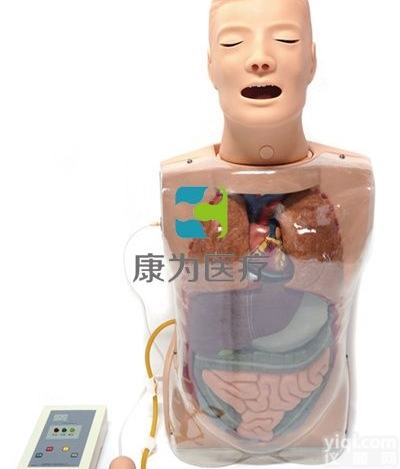 NM2156  <em>多功能</em>透明<em>洗胃</em><em>训练</em>模型|全功能护理人模型