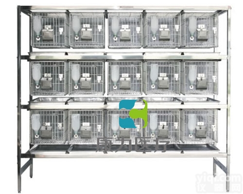 ACG2199  不锈钢干养式<em>实验</em><em>兔笼</em>|动物笼具<em>实验</em>设备