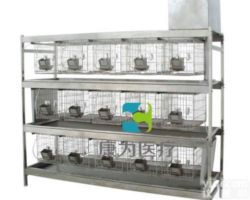 ACG2198  不锈钢冲洗式<em>实验</em><em>兔笼</em>|动物笼具<em>实验</em>设备
