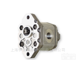 0,25 RO - 0,5 RO  两孔法兰<em>铣削</em>轴<em>马祖</em>奇marzocchi<em>高压泵</em>