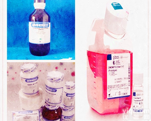 <em>PyBOP 六氟磷酸苯并三唑-1-基-氧基三吡咯烷基磷</em>