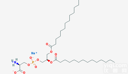 105405-50-3  二<em>肉豆蔻</em>酰基<em>磷脂</em>酰丝氨酸DMPS|105405-50-3