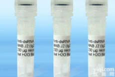 抗<em>双链</em>RNA<em>抗体</em> J2<em>抗体</em>