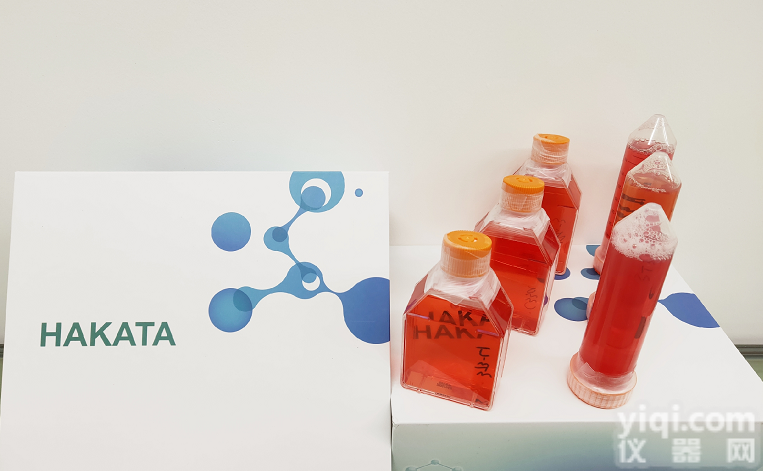 A2780细胞|人<em>卵巢</em><em>癌细胞</em>|A2780<em>细胞株</em>