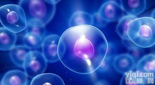 <em>293T</em><em>细胞</em>|人胚肾<em>细胞</em> |<em>293T</em><em>细胞</em>株