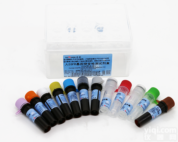 EGFR  人EGFR<em>基因突变</em>检测<em>试剂盒</em>（PCR荧光法）