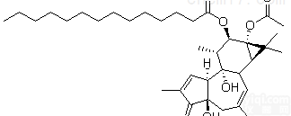 16561-29-8  <em>伏波</em>醇-12-十四烷酸酯-13-<em>乙酸酯</em><em>标准品</em>