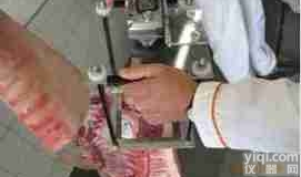 SCAN-STAR  <em>德国</em>MATTHAUS<em>肉质</em><em>眼肌</em>面积分析系统