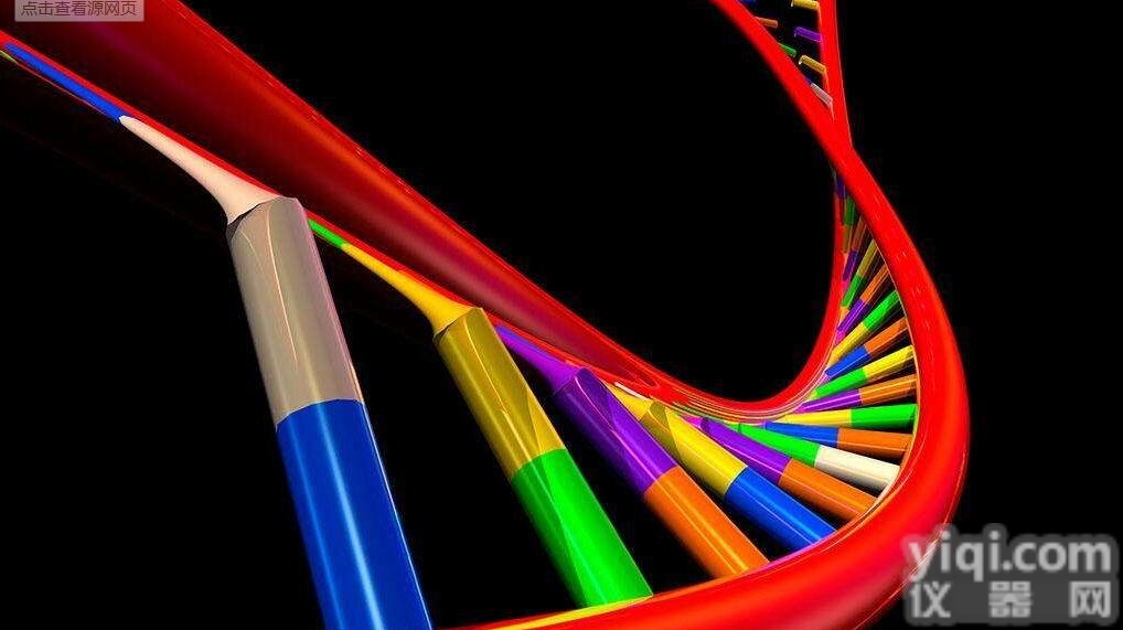 非柱式<em>软体动物</em> <em>DNAout50</em> 次品Pai