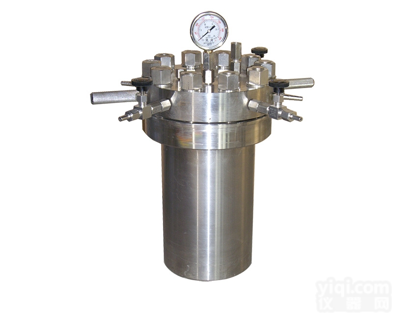 <em>上海</em>科升CF-2L<em>简易型</em>不锈钢高压反应釜