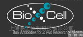 抗原  BioX cell单克隆<em>抗体</em>和<em>重组</em><em>蛋白</em>授权代理