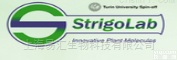 StrigoLab <em>合成</em><em>独脚</em>金<em>内酯</em>类似物供应商
