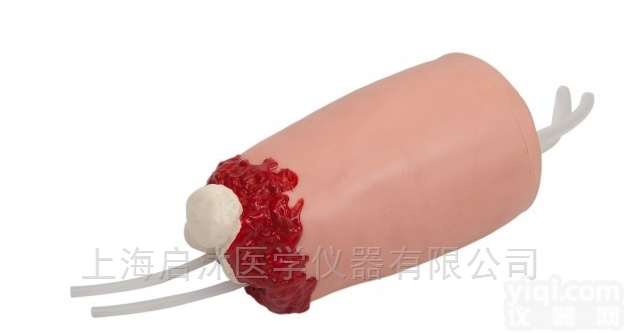 QS/J108-2  下肢外伤<em>断肢</em><em>止血</em><em>模型</em>,大腿<em>止血</em>训练<em>模型</em>