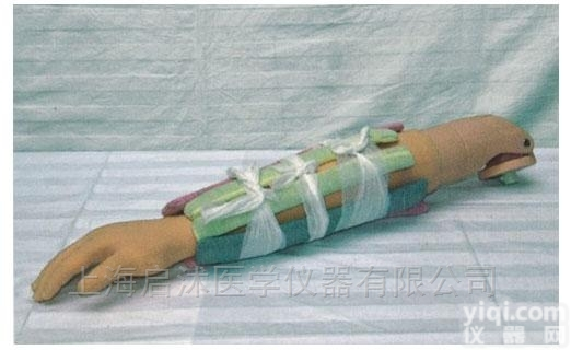 QS/H340  <em>上臂</em>骨折<em>模型</em>上肢骨折固定<em>训练</em><em>模型</em>