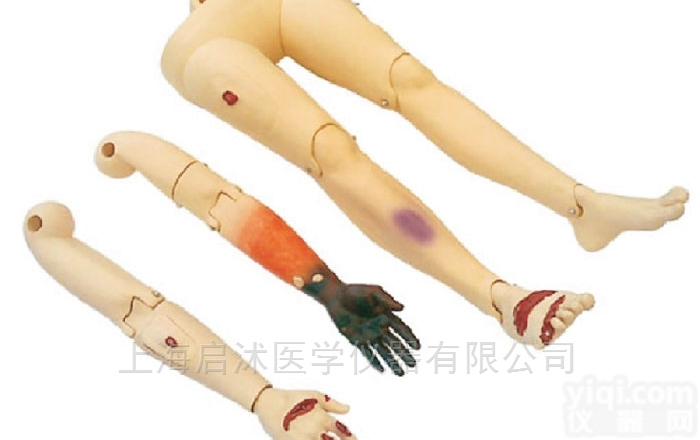 QS/J110-4  <em>高级</em><em>创伤</em>四肢<em>模型</em>四肢<em>创伤</em><em>模型</em>