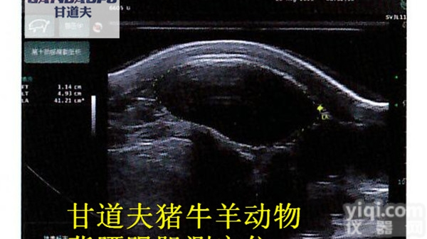 <em>母猪</em>背膘厚度眼肌面积<em>测定仪</em>猪用背膘仪